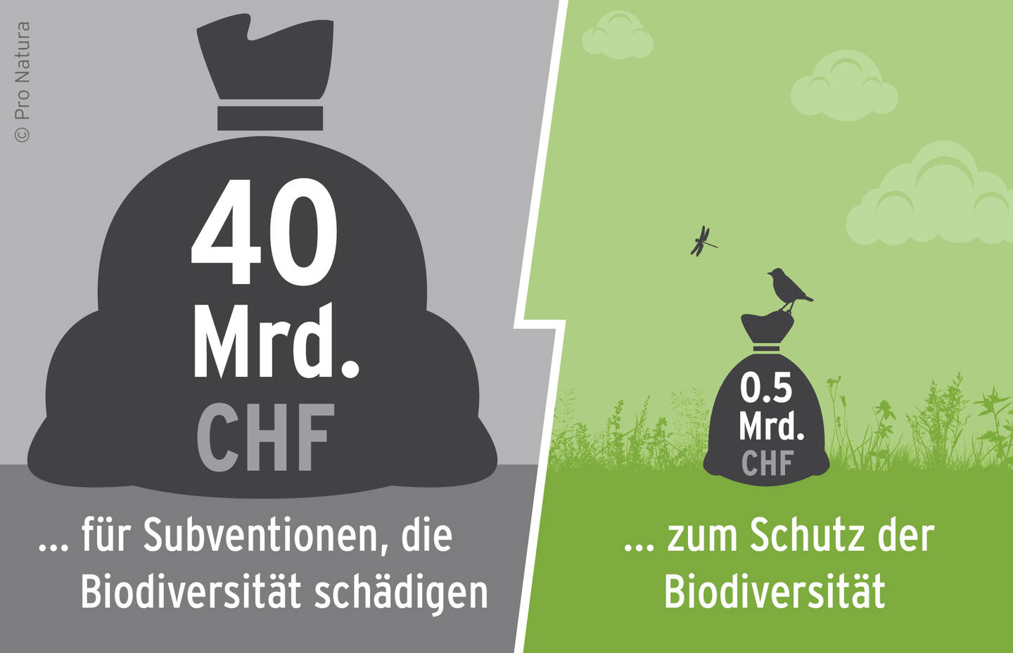 Infografik mit 2 Geldsäcken: 40 Milliarden CHF für Subventionen, die Biodiversität schädigen und 518 Millionen zum Schutz der Biodiversität