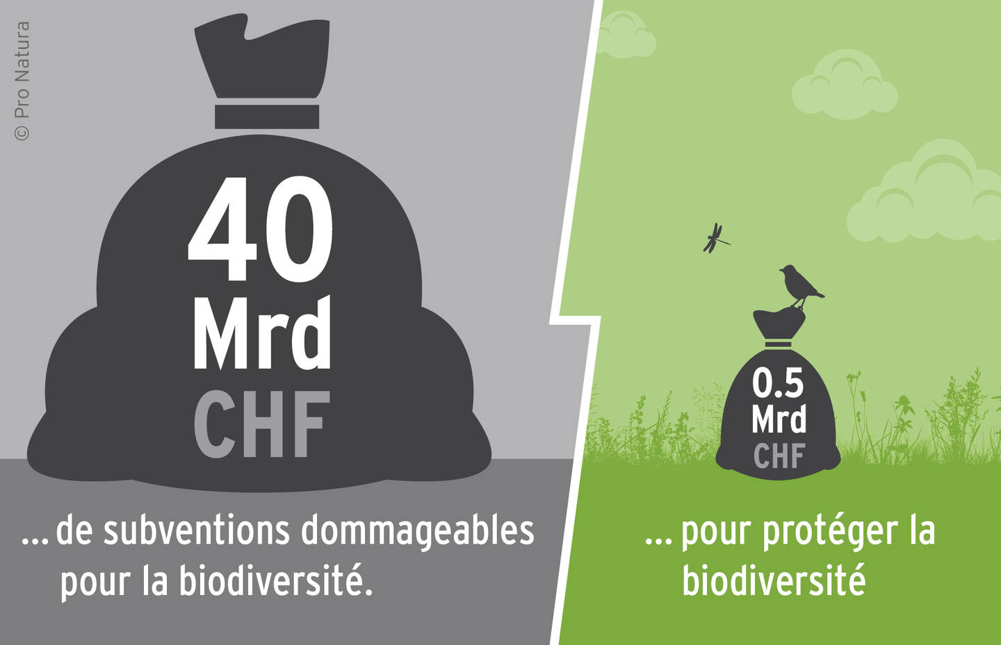 Infographie avec deux sacs d’argent: 40 milliards de francs de subventions dommageables à la biodiversité et 518 millions de francs pour protéger la biodiversité