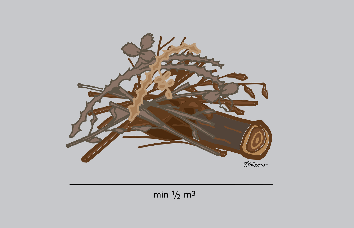 Dessin d’une pile de branches optimale pour les reptiles