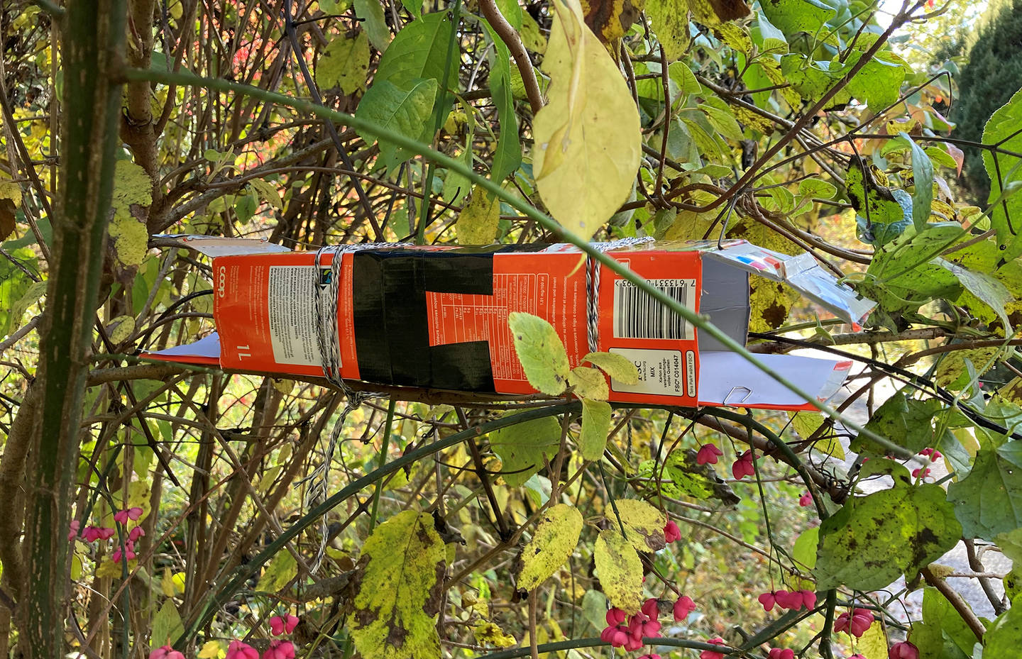 Ein Spurtunnel aus Getränkekartons in einem Baum gehängt.