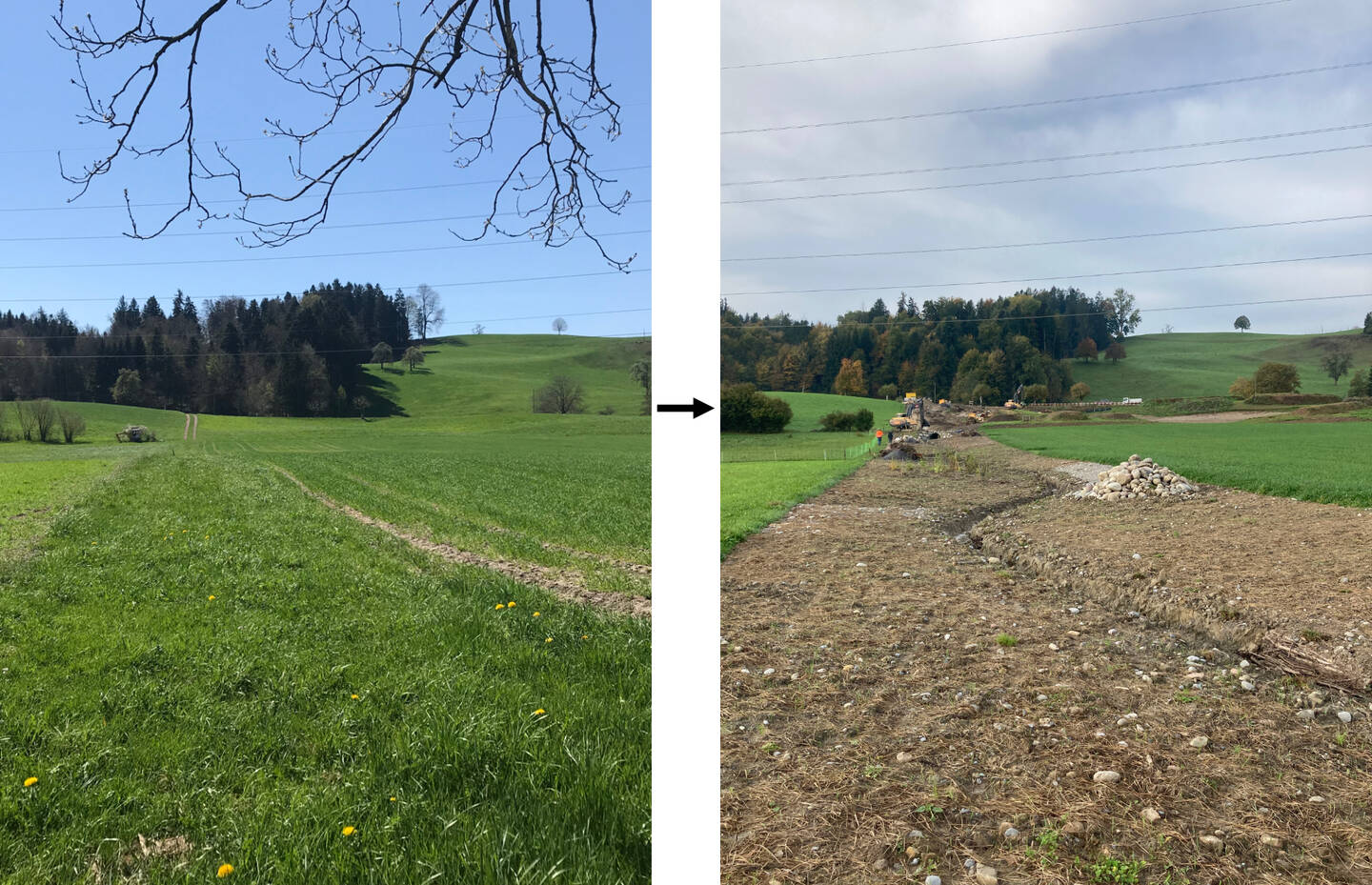 Risibach 2018 und 2022 © Nora Hug