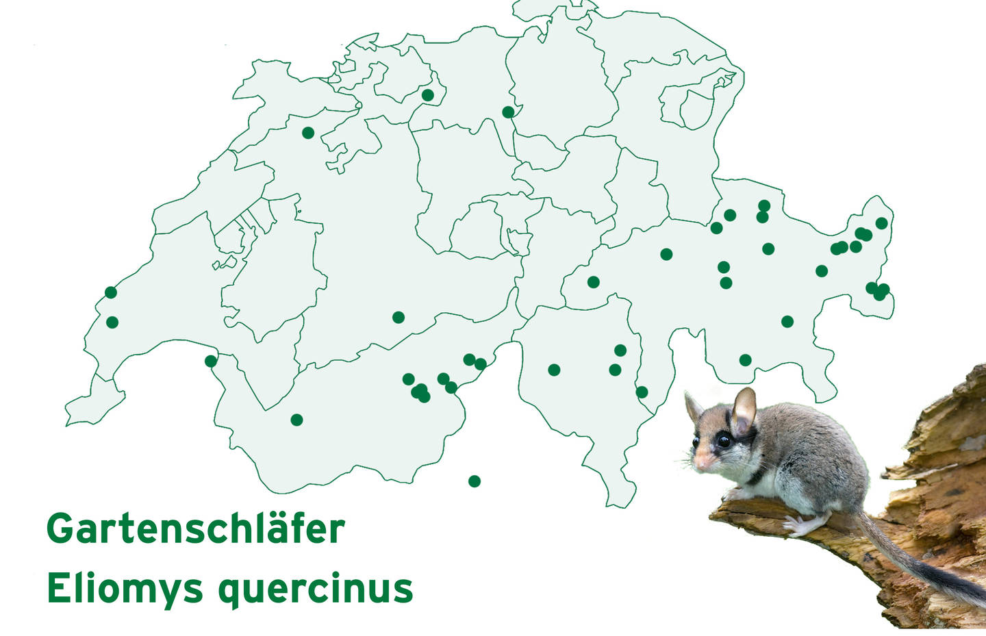 Karte der Funde Spurensuche 2022