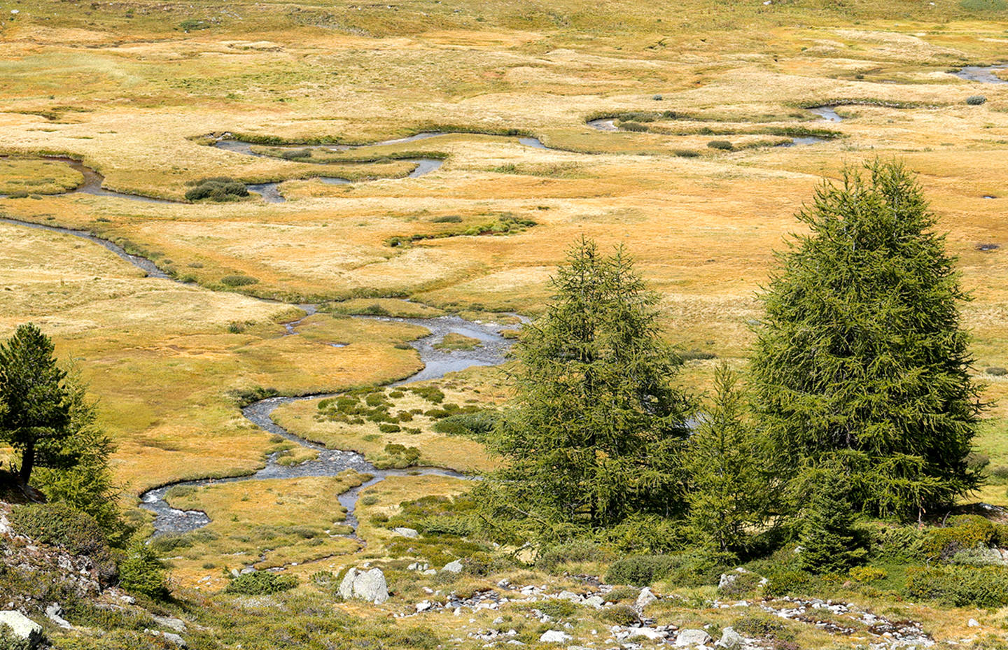 Mäandrierender Bergbach im Val de Réchy VS