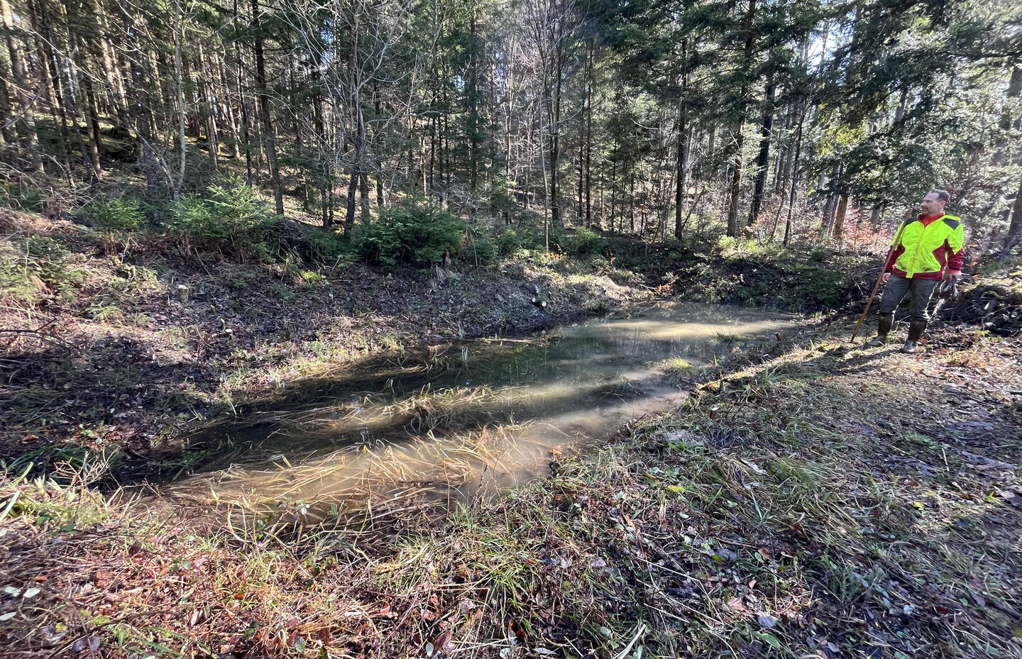 Hinderi Langenau, Dietschwil (nach Umsetzung)