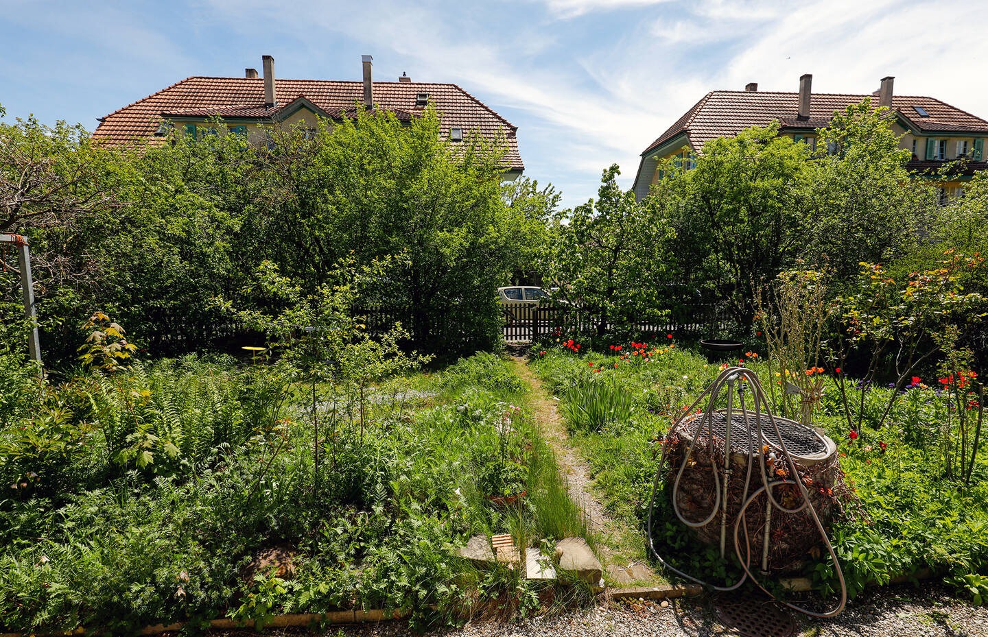 Naturnahe Gärten sind eine Oase für alle Arten von Tieren