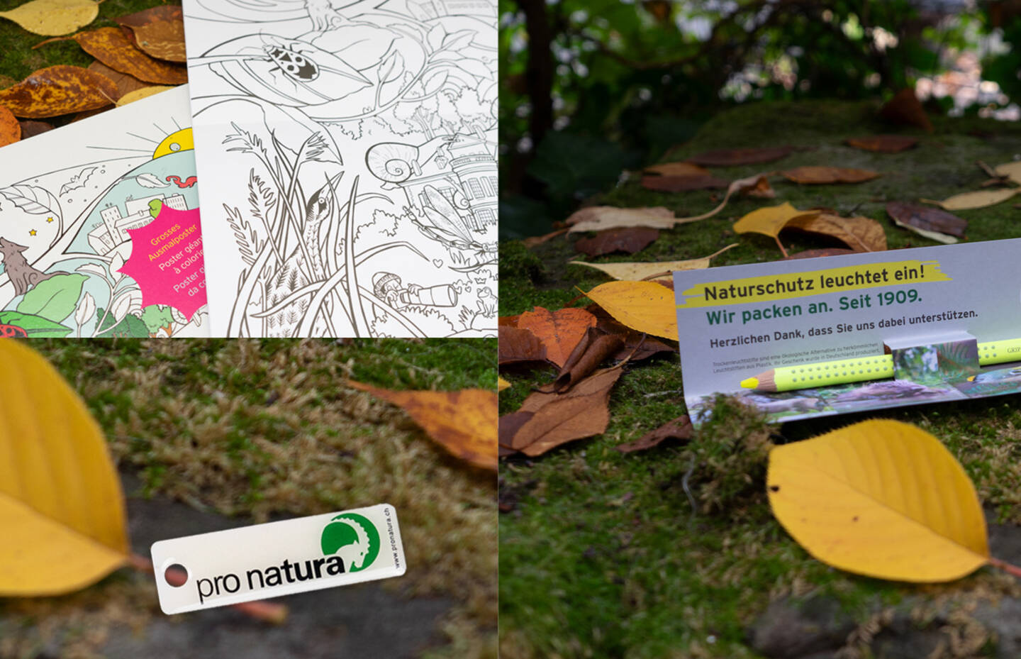 Willkommensgeschenke von Pro Natura für Neu-Mitglieder