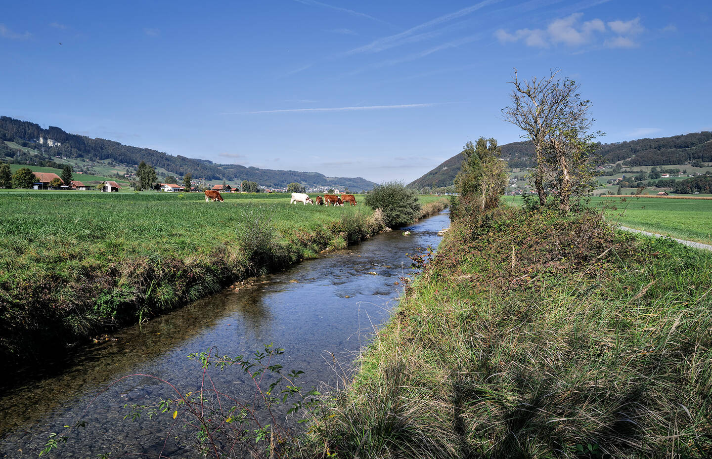 Gürbetal