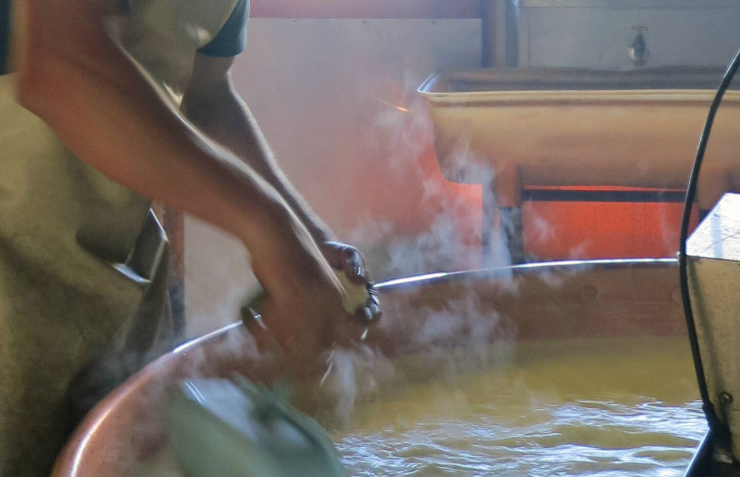 Käse Alp Waadt