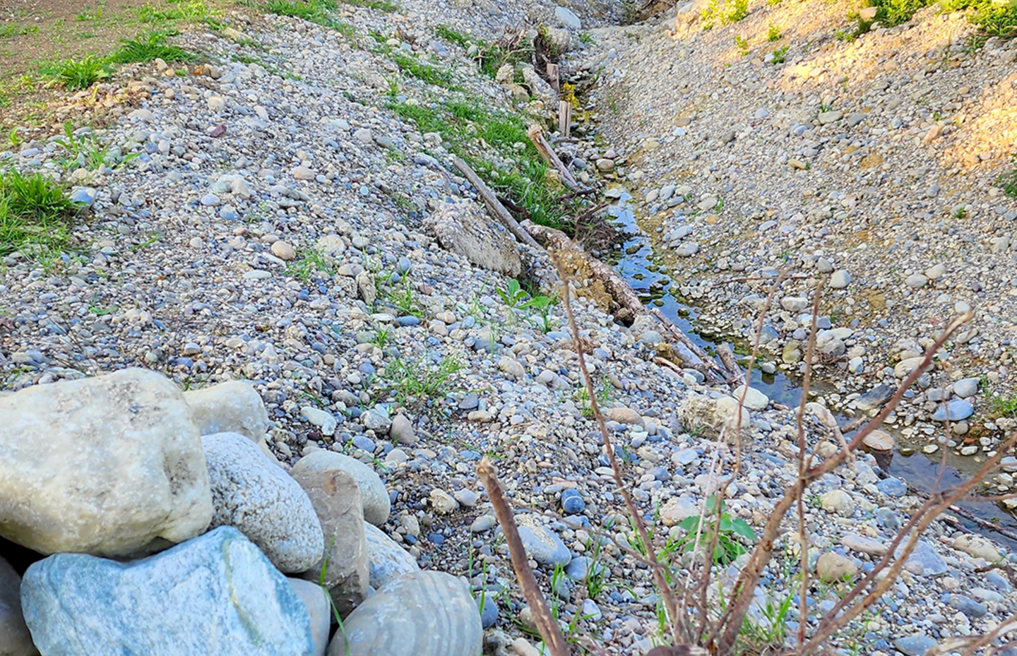 Bachrenaturierung Sommerau