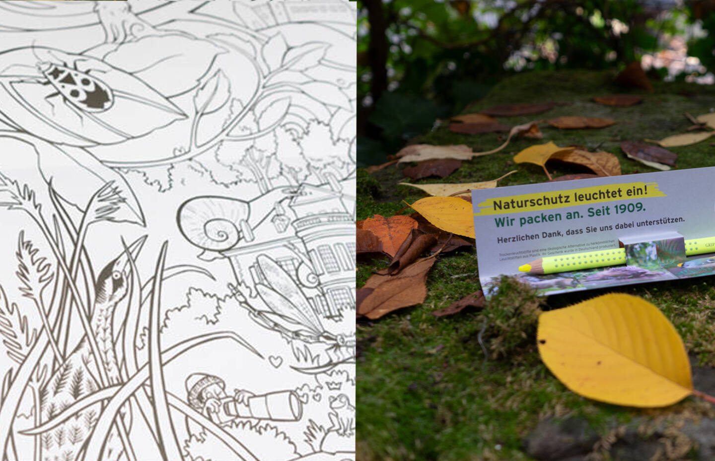 Willkommensgeschenke von Pro Natura für Neu-Mitglieder