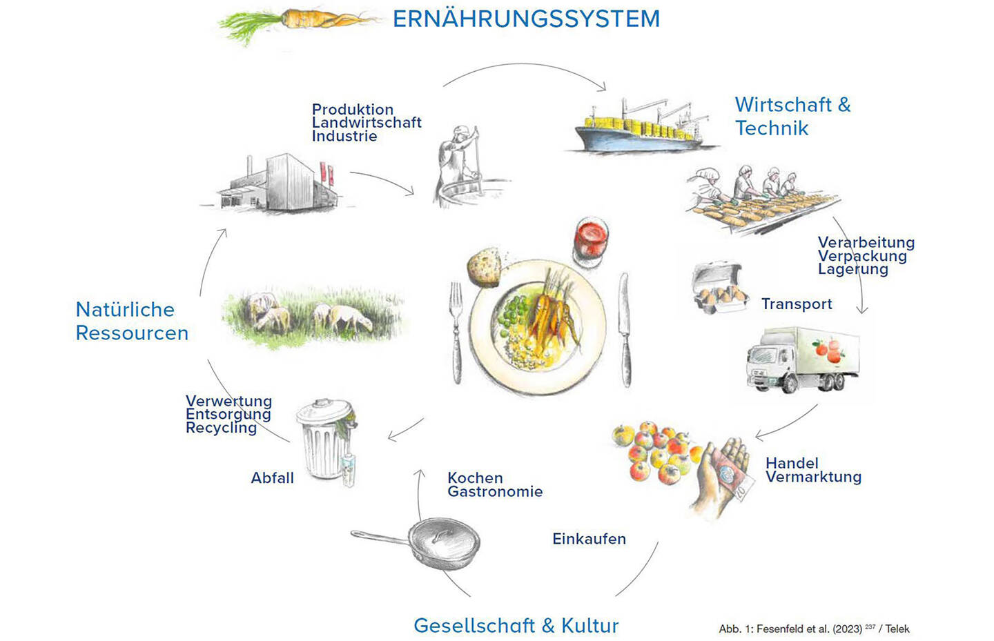 Illustration du système alimentaire comme cycle