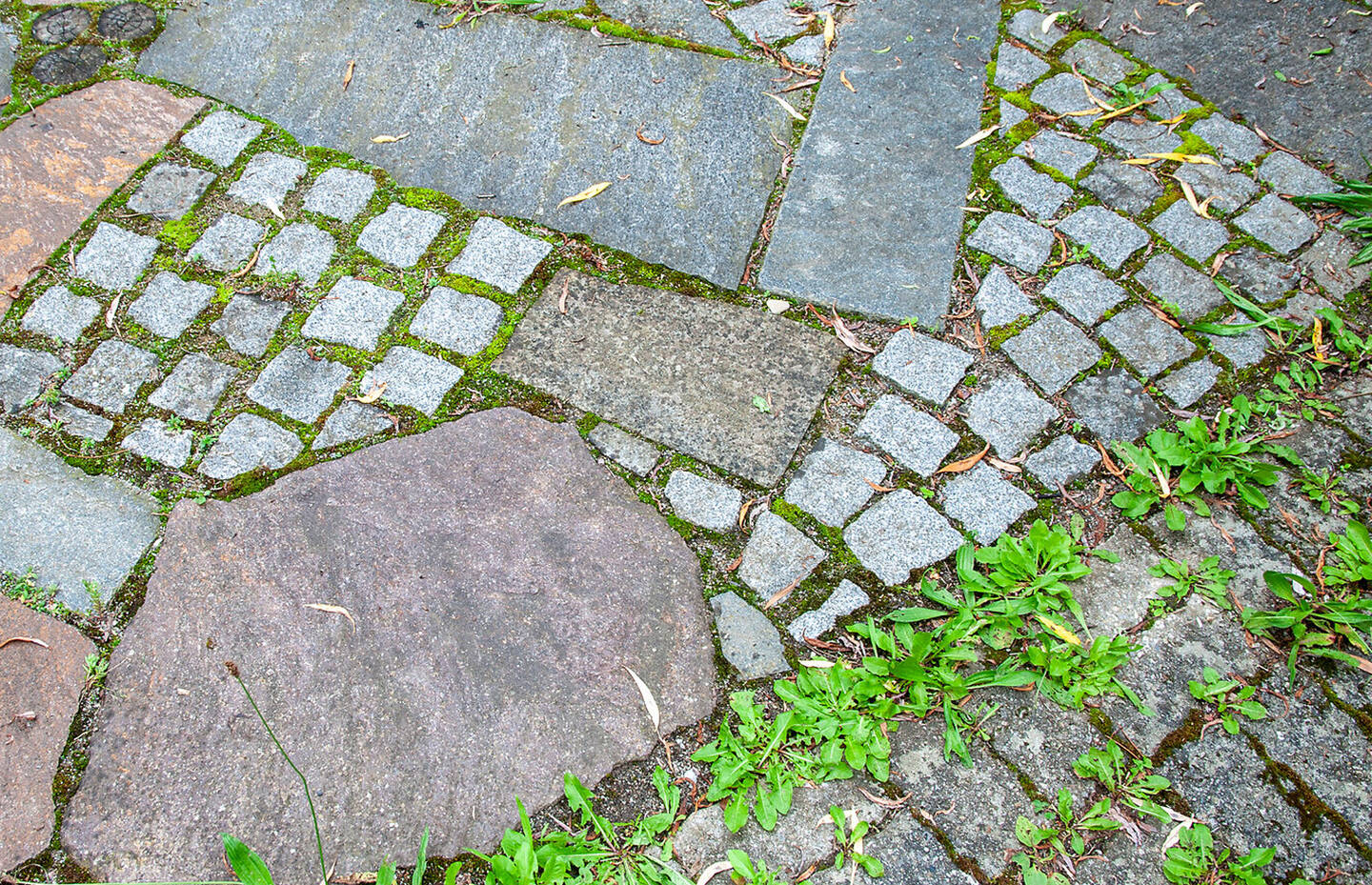 Unversiegelter Boden