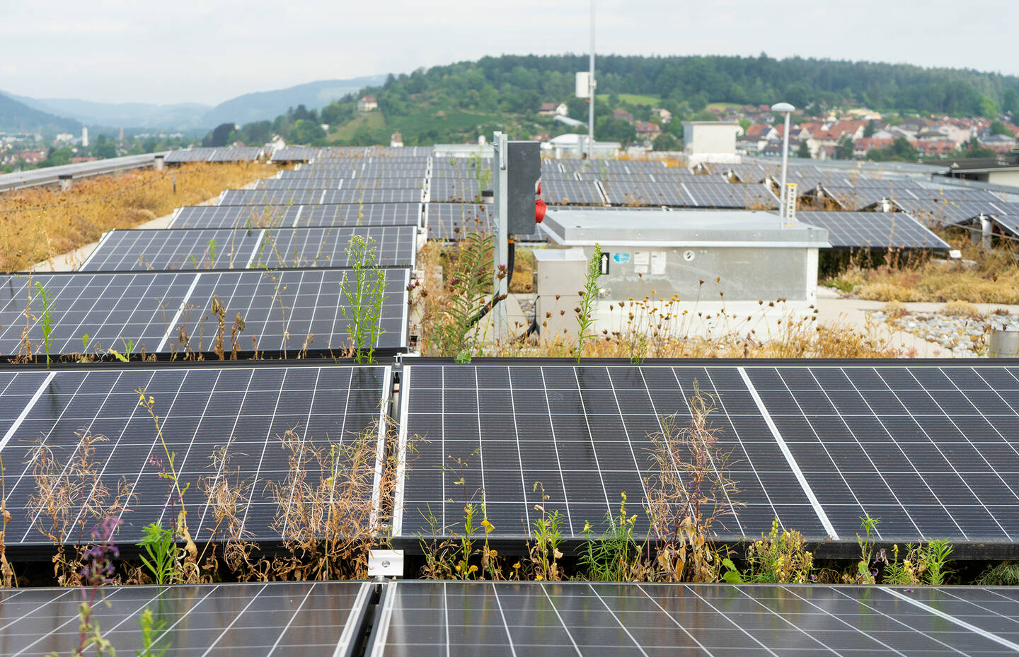 Photovoltaikanlage auf begrüntem Dach