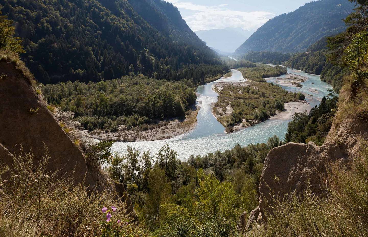 Bildmontage Auenlandschaft am Unterlauf des Hinterrheins