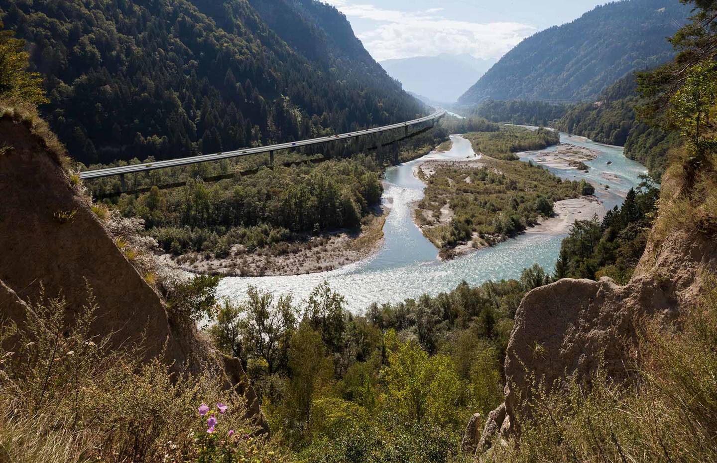 Bildmontage Auenlandschaft am Unterlauf des Hinterrheins