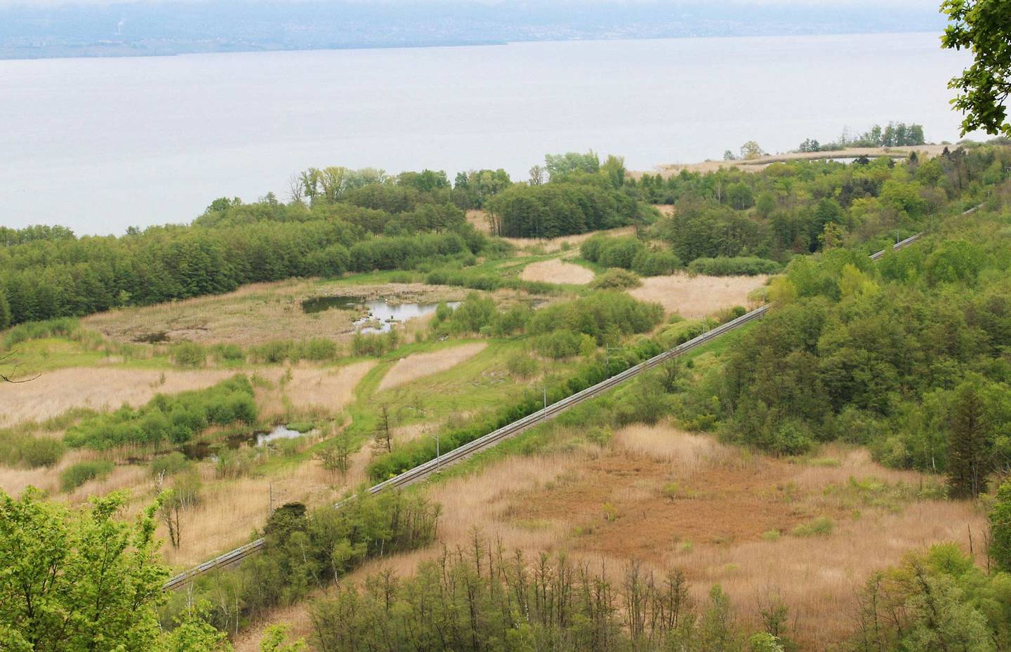 Bildmontage Rive sud du lac de Neuchâtel