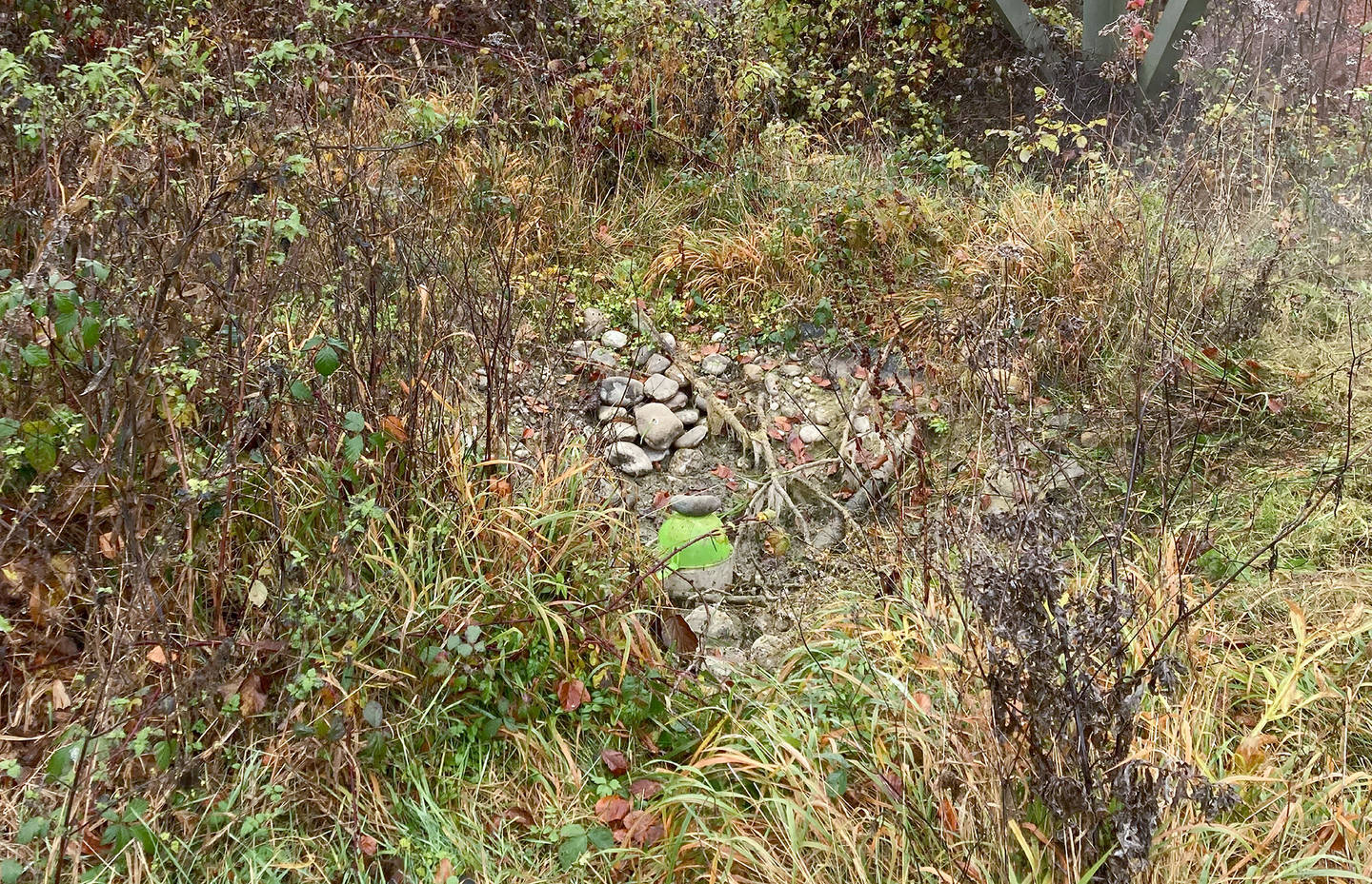 Tümpel vorher © Andrea Haslinger