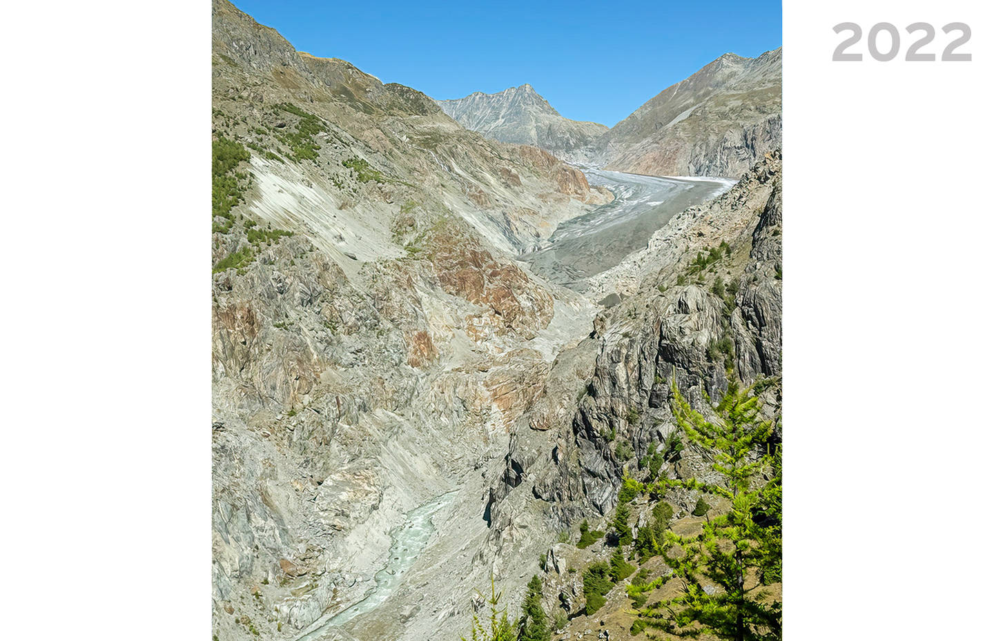 Aletschgletscher im Jahr 2022 vom Aletschkopf aus fotografiert © Laudo Albrecht
