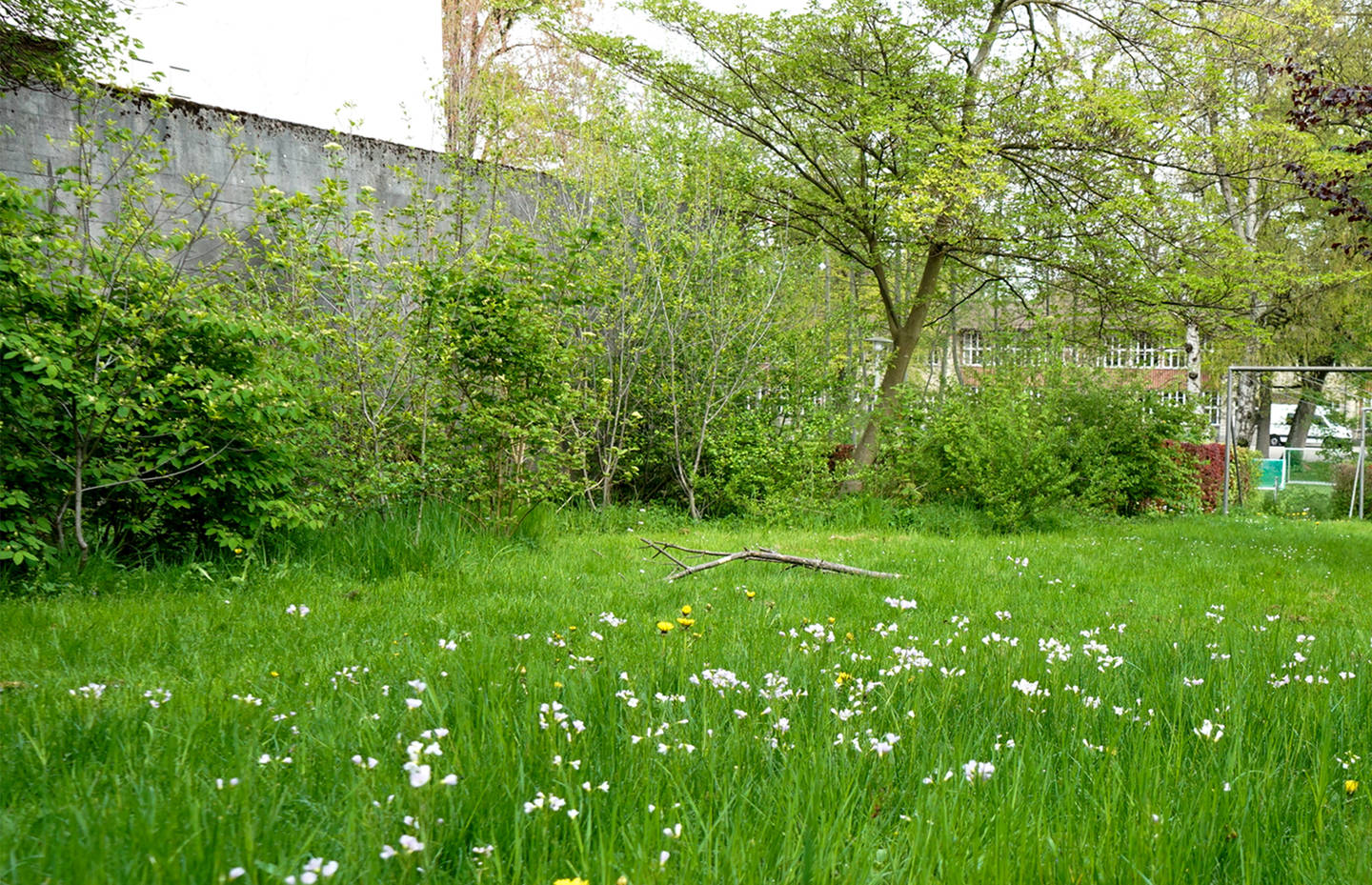 Der Heckenstreifen ermöglicht Kleintieren den Wechsel von einem Lebensraum zum anderen. Von den Aufwertungen profitiert nicht nur die Natur. Auch die Mieterschaft freut sich über die begrünte Wand.