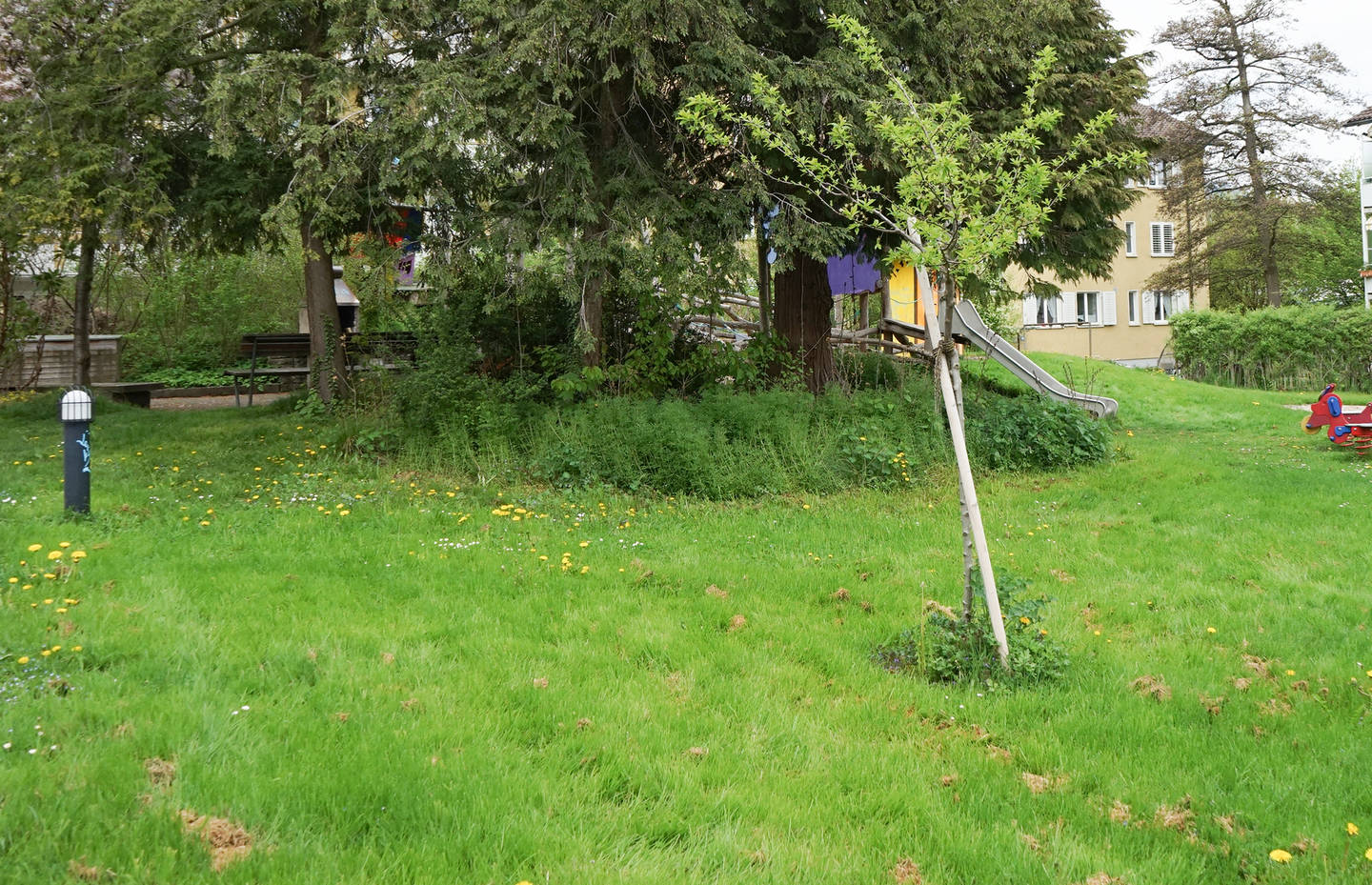 Formenvielfalt statt Formgehölz: der exotische Kirschlorbeer macht Platz für heimische Krautvegetation, neue Obstgehölze liefern künftig Früchte direkt beim Spielplatz. Der grosszügige Aussenraum wird durch kleine Massnahmen vielfältig erlebbar.