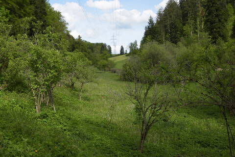 Beispiel einer Aufwertung