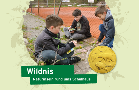 Titelbild Unterrichtshilfe Wildnis