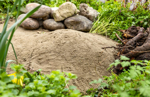 Eine Sandlinse für Wildbienen