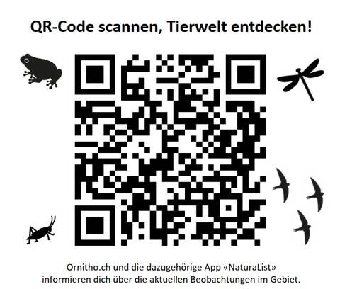 QR-Code Scannen_Hide