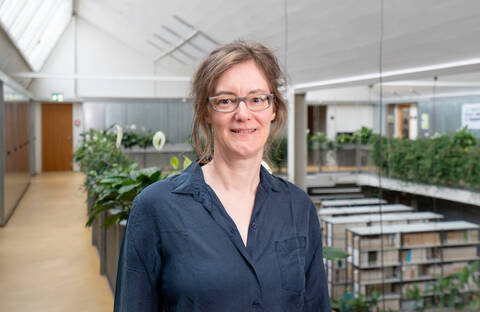 Porträt von Andrea Haslinger