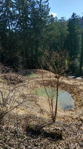 Chalchofenberg in Liesberg