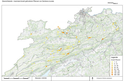 Übersichtskarte Kreuzenzian