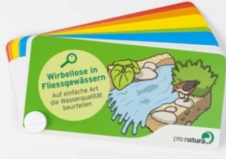 Bestimmungsfächer Pro Natura Wirbellose