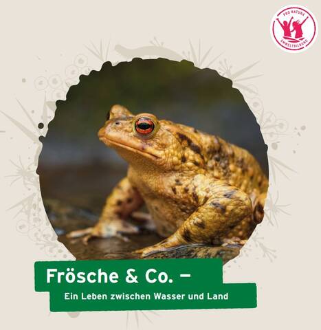 Unterrichtsdossier Amphibien Pro Natura 