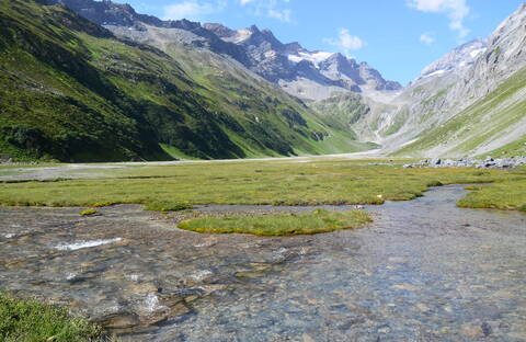 Val Frisal