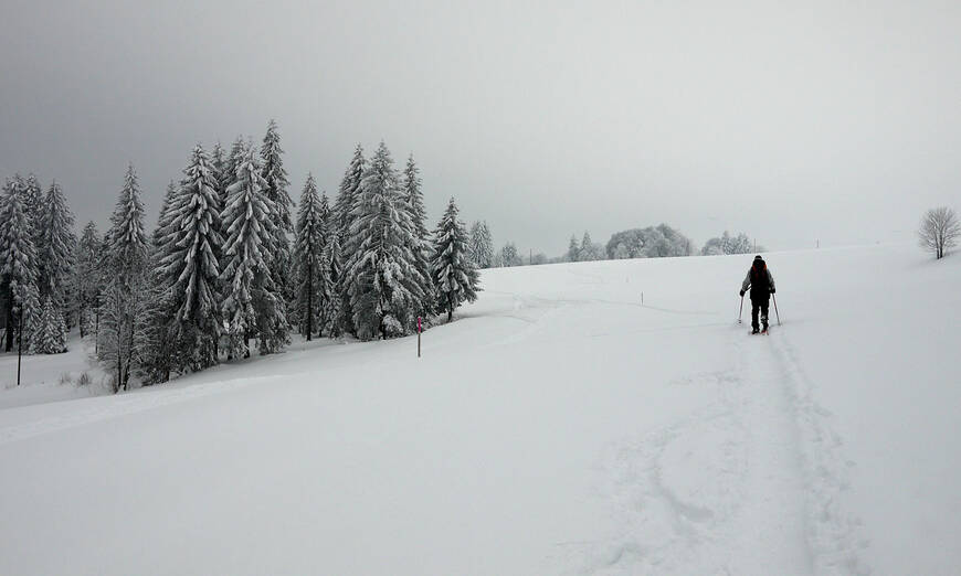 Schneeschuh Mont Soleil