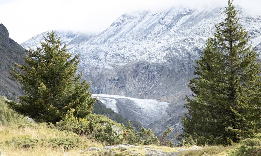 Les contreforts du glacier d'Aletsch vus de Belalp