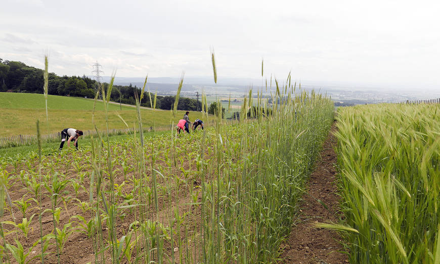 Der Generationenwechsel in der Landwirtschaft als ökologische Chance