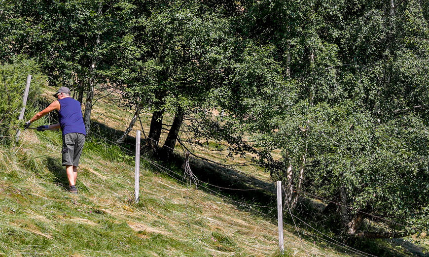 Zurückschneiden von Büschen während dem Arbeitseinsatz auf dem Monte di Camino TI