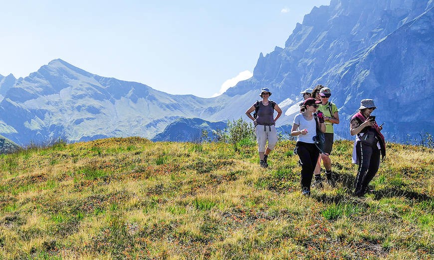 Exkursion von Pro Natura in den Alpen