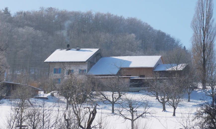 Bauernhof im Winter © Rico Kessler