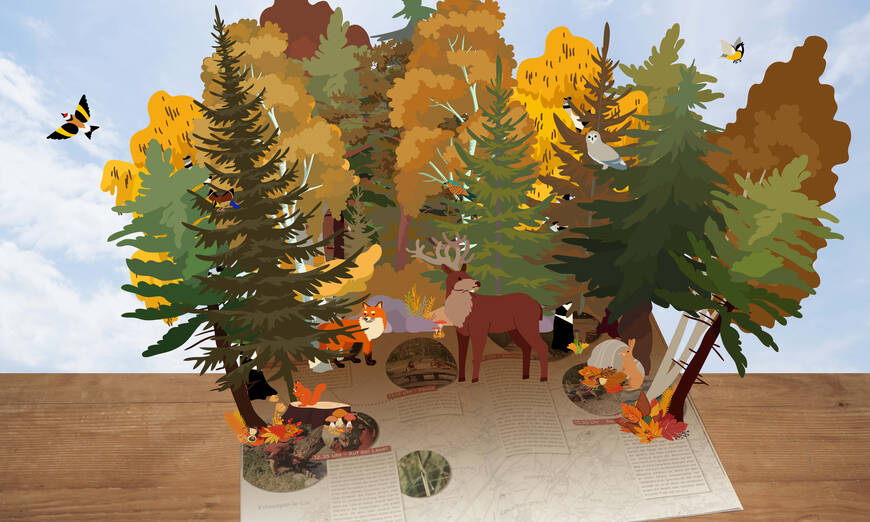 Illustration d'hiver