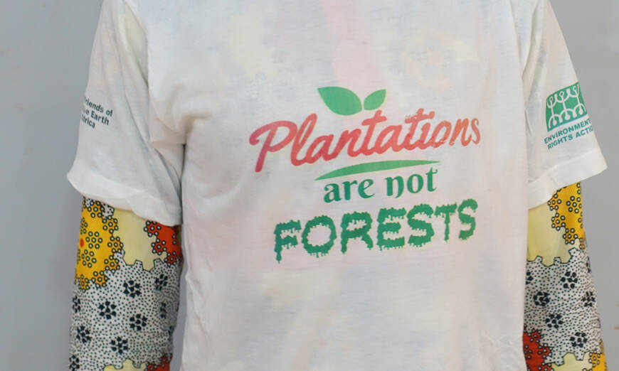 Eine Frau trägt ein T-Shirt mit dem Slogan «Plantations are not forests!»