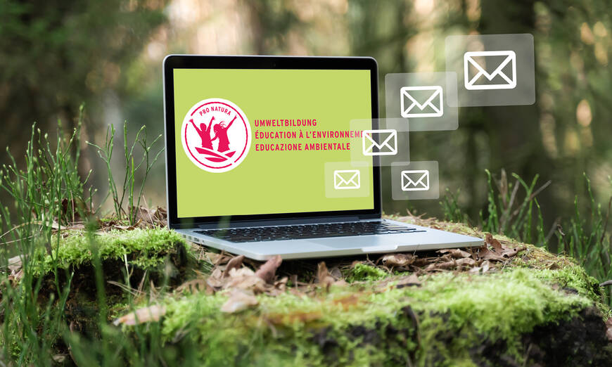 Newsletter Education à l'environnement