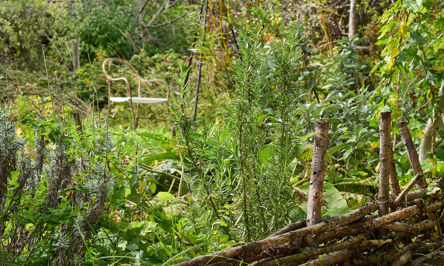 Naturgarten im Herbst