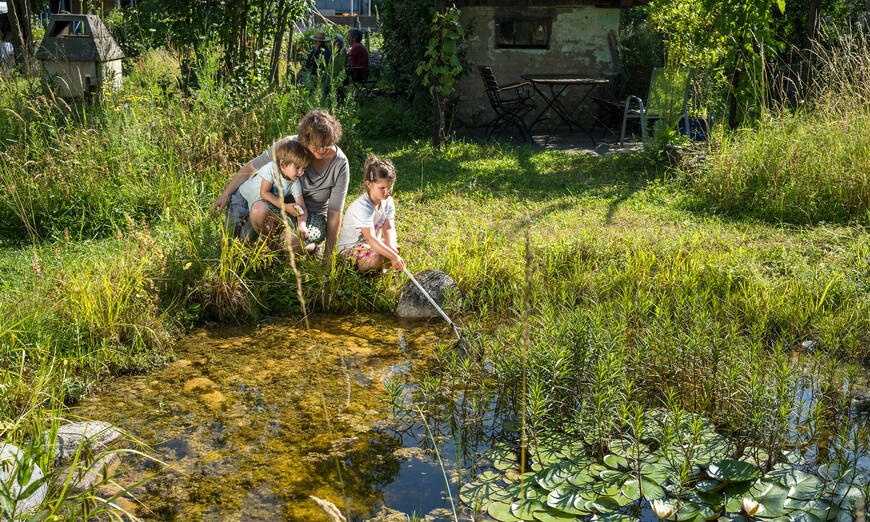 Naturgarten