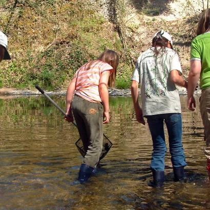 Des enfants à la découverte d'une rivière.