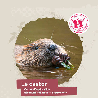 Carnet d’exploration Le Castor de Pro Natura