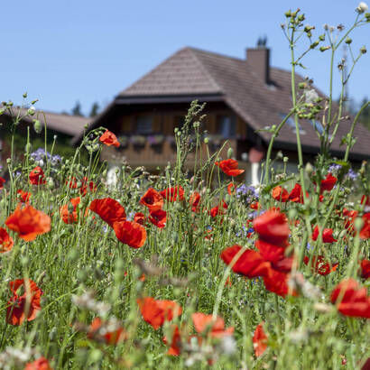 Biodiversität verpachten