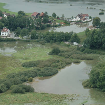 Rançonnière