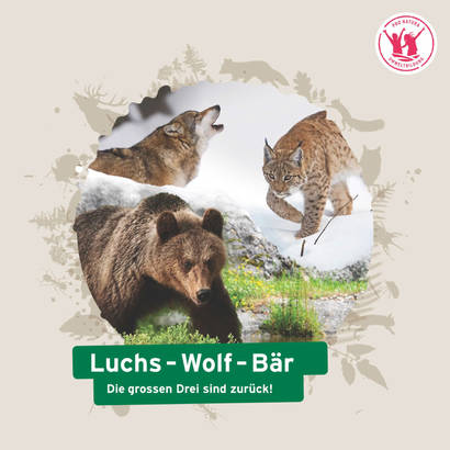 Unterrichtsdossier «Luchs-Wolf-Bär»